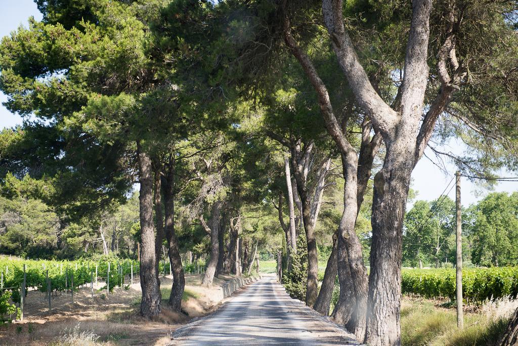 Вилла Chateau Canet Rustiques Экстерьер фото