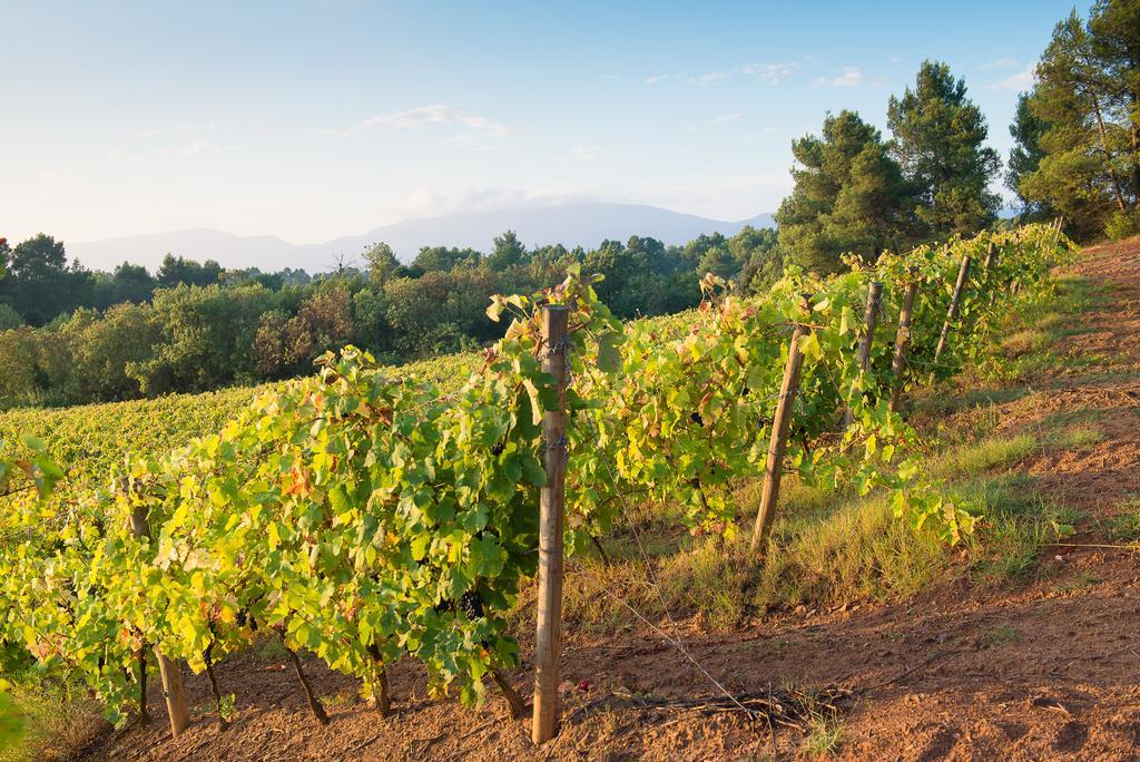 Вилла Chateau Canet Rustiques Экстерьер фото