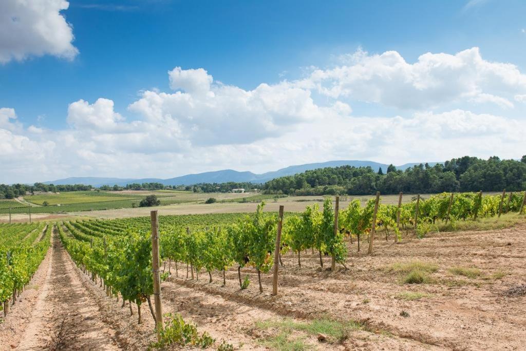 Вилла Chateau Canet Rustiques Экстерьер фото